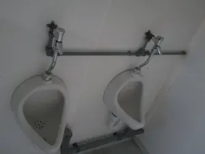 20 Fuss Duo- Umkleideanlage mit Duschen und WC- Bereich – Bild 7