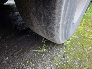 Reisch RSBS-3-10 Schubboden 65 m³ – Bild 15